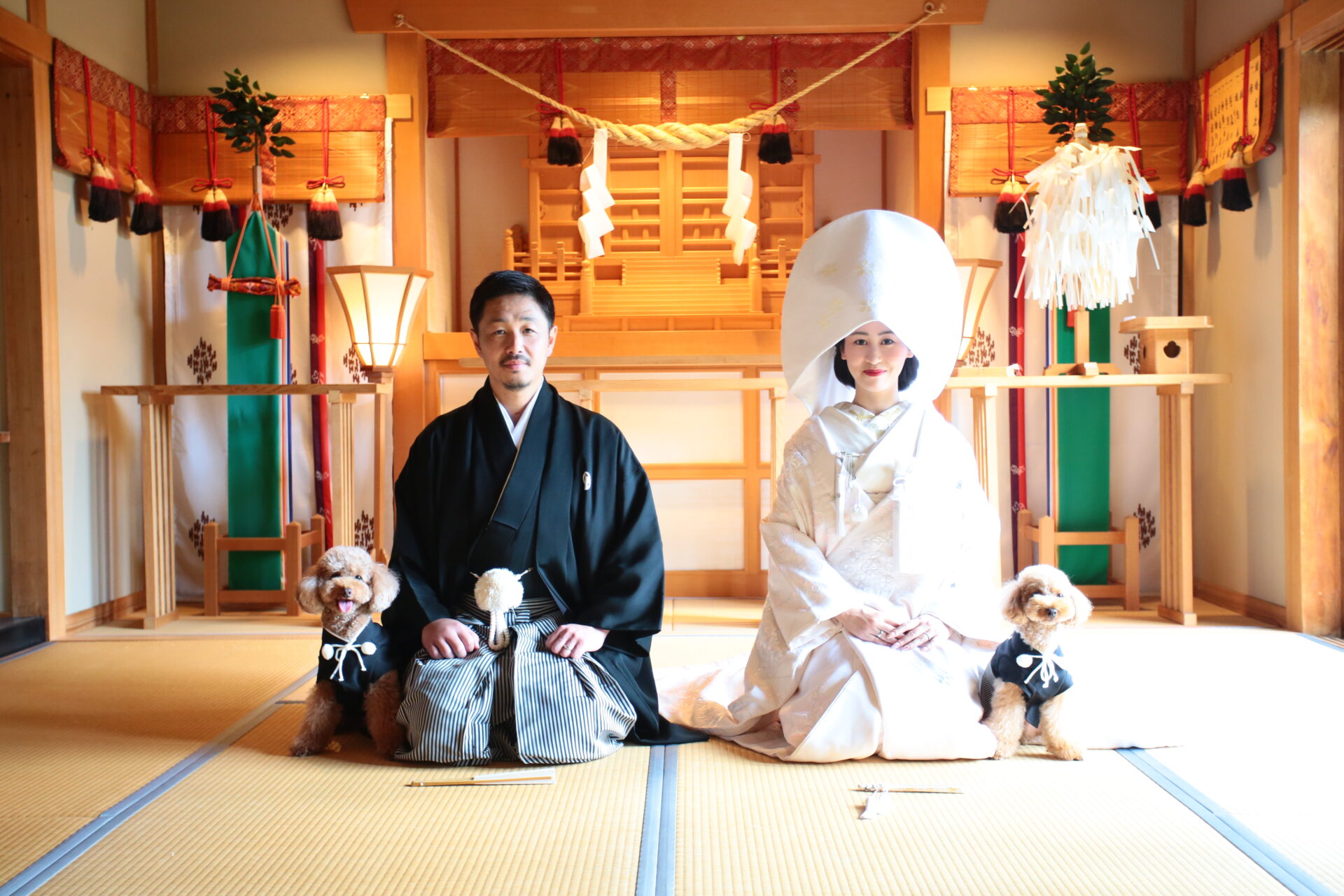 ペットウェディング